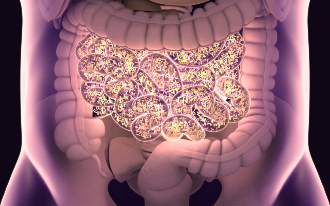 Heal Your Gut to Transform Your Health