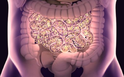 Heal Your Gut to Transform Your Health