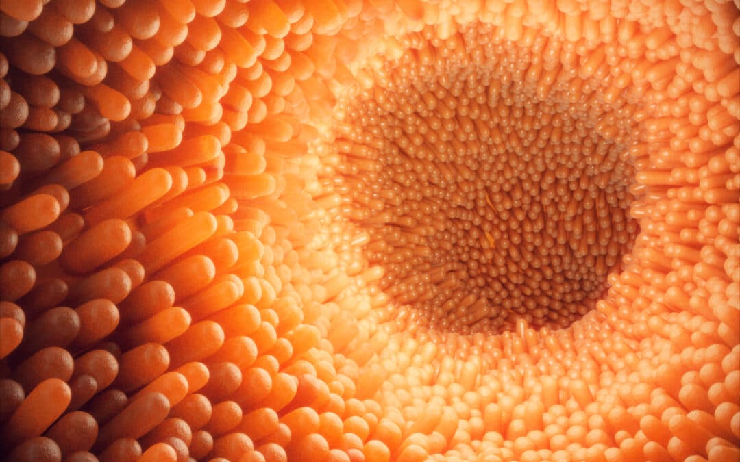 The Glorious Gut: A Miraculous Wonder