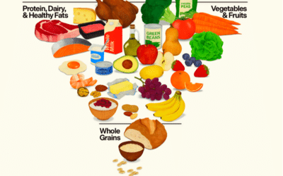 Eat Real Food: 2026 Guidelines Catch Up With Science